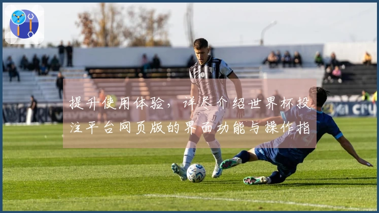 提升使用体验，详尽介绍世界杯投注平台网页版的界面功能与操作指南
