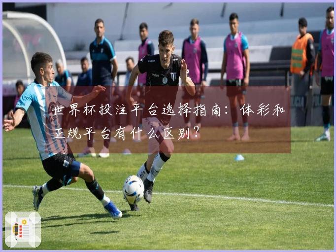 世界杯投注平台选择指南:体彩和正规平台有什么区别?