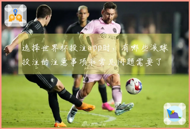 选择世界杯投注app时，有哪些滚球投注的注意事项和常见问题需要了解？
