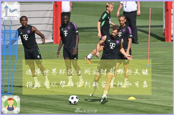 选择世界杯投注网站时有哪些关键指标可以帮助你判断安全性和可靠性？
