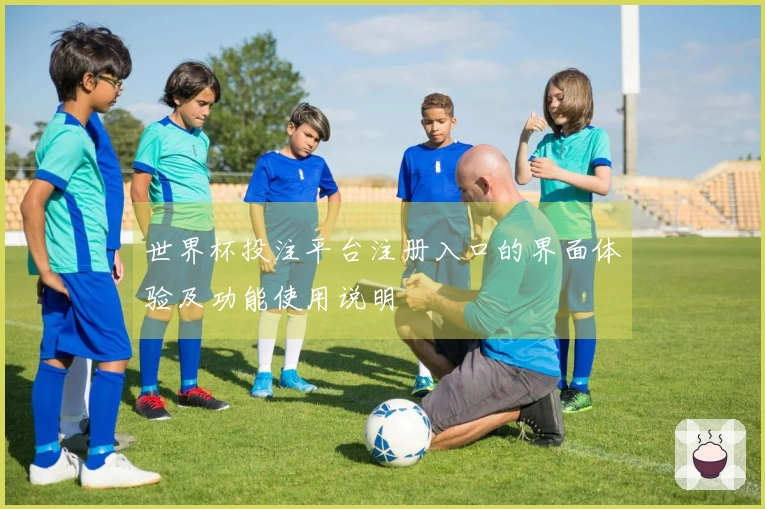 世界杯投注平台注册入口的界面体验及功能使用说明