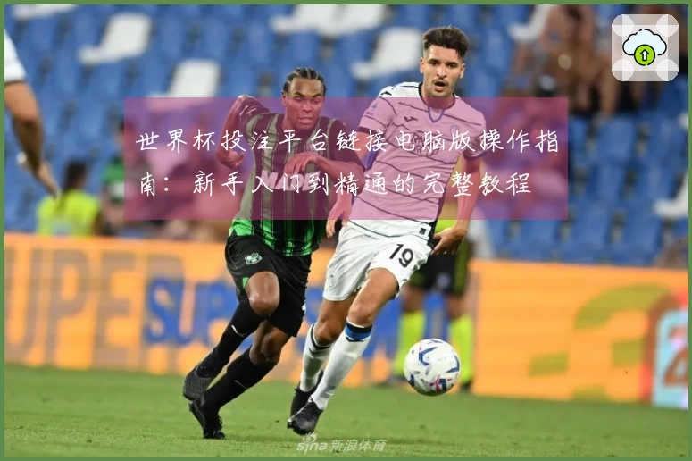 世界杯投注平台链接电脑版操作指南：新手入门到精通的完整教程