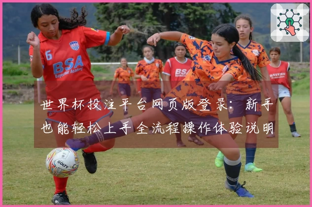 世界杯投注平台网页版登录：新手也能轻松上手全流程操作体验说明