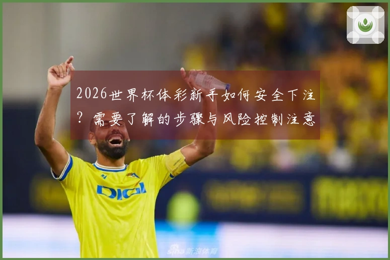2026世界杯体彩新手如何安全下注？需要了解的步骤与风险控制注意事项