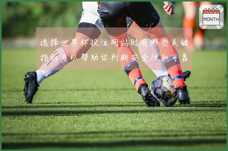 选择世界杯投注网站时有哪些关键指标可以帮助你判断安全性和可靠性？