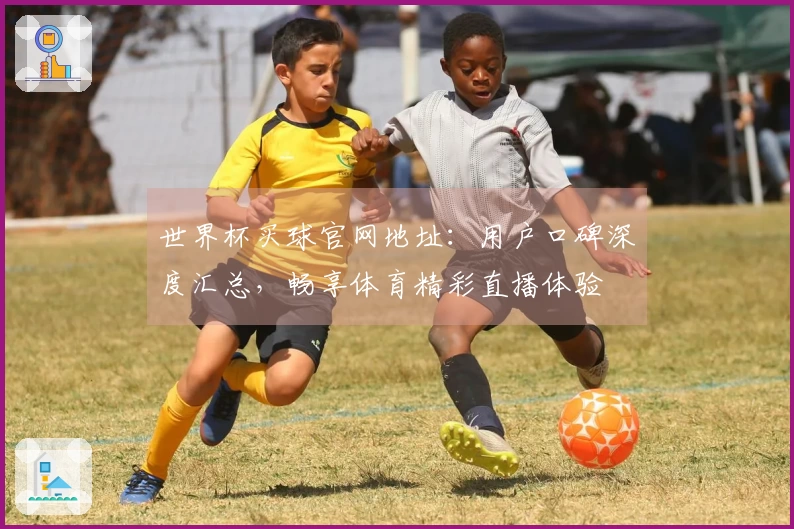 世界杯买球官网地址：用户口碑深度汇总，畅享体育精彩直播体验