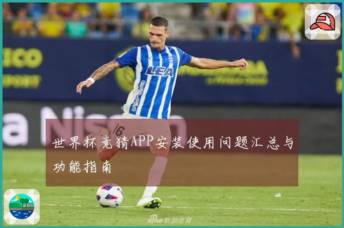 世界杯竞猜APP安装使用问题汇总与功能指南