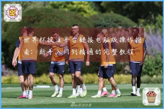 世界杯投注平台链接电脑版操作指南：新手入门到精通的完整教程