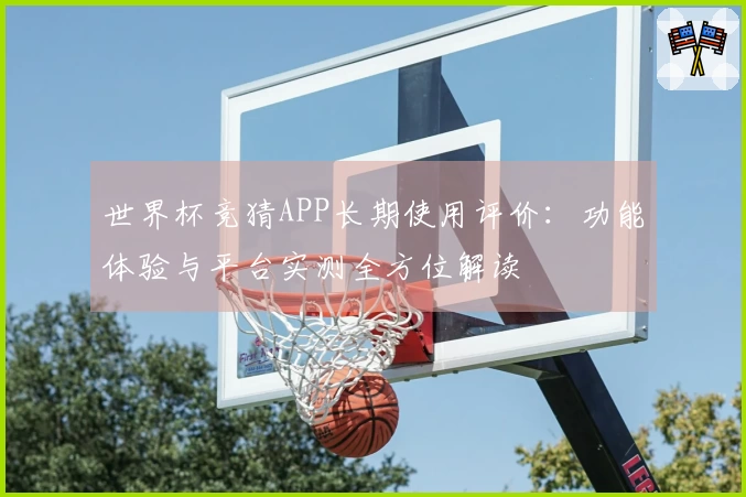 世界杯竞猜APP长期使用评价：功能体验与平台实测全方位解读