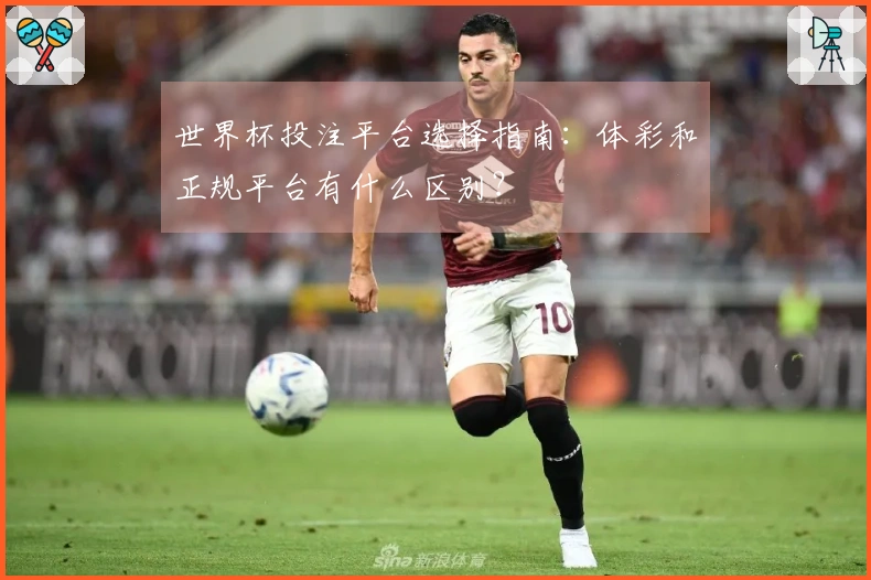 世界杯投注平台选择指南：体彩和正规平台有什么区别？