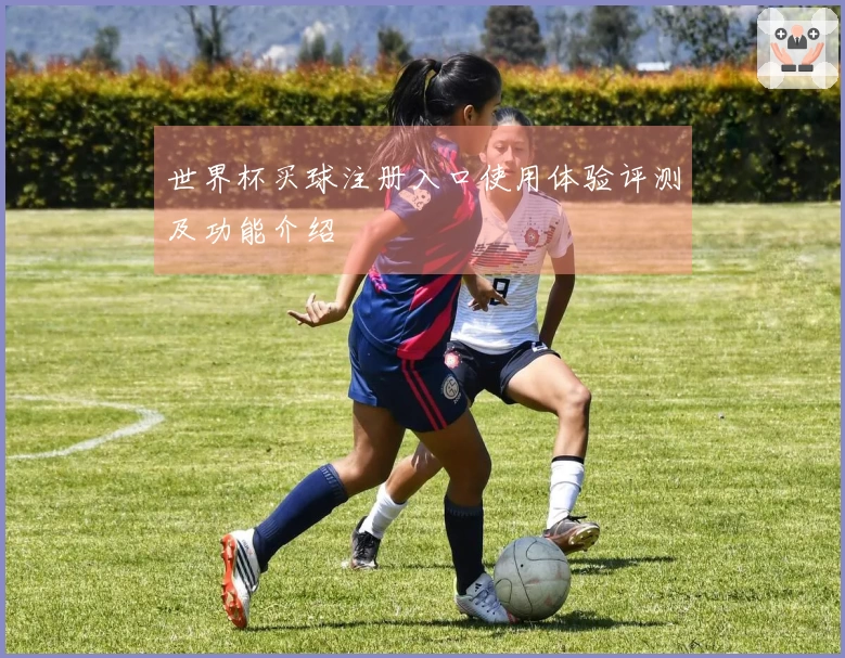 世界杯买球注册入口使用体验评测及功能介绍