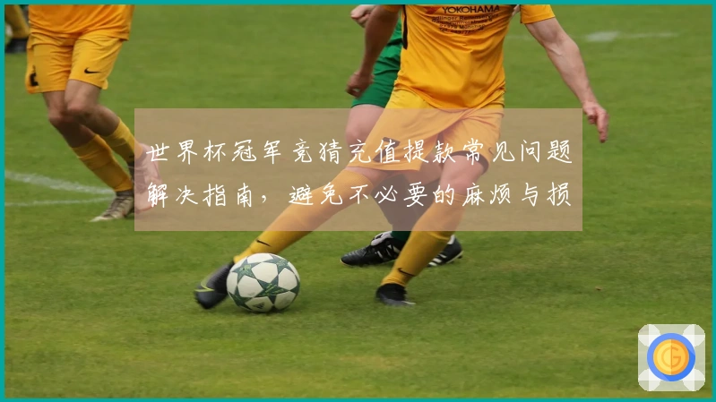 世界杯冠军竞猜充值提款常见问题解决指南，避免不必要的麻烦与损失