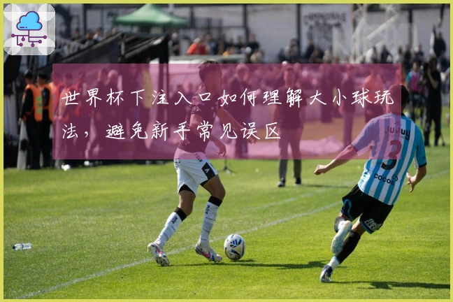 世界杯下注入口如何理解大小球玩法，避免新手常见误区