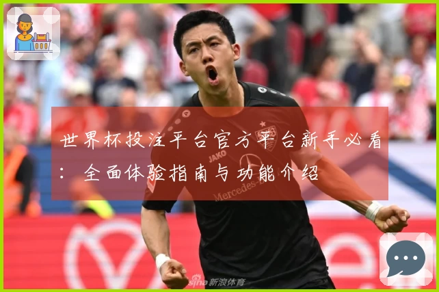 世界杯投注平台官方平台新手必看：全面体验指南与功能介绍